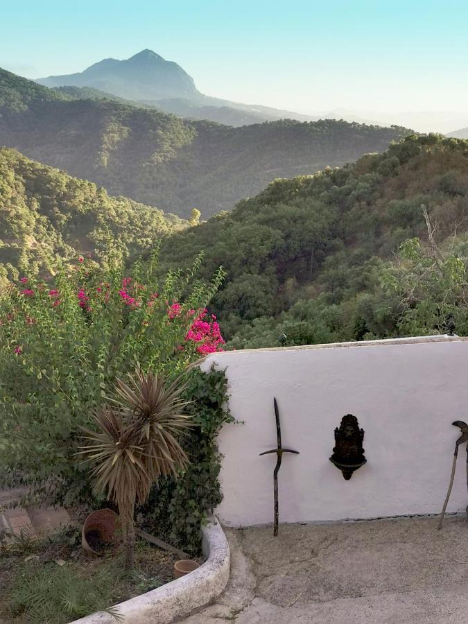 Naturaleza Y Arte En La Casa Del Molino Genalguacil Luaran gambar